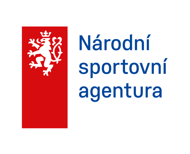 NSA logo